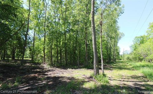 VACANT LAND Nicholson Road, Fowlerville Village, MI, 48836 | Card Image