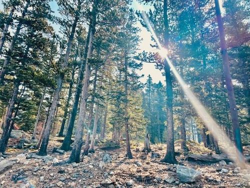 265 Brook Dr, Idaho Springs, CO, 80452-9703 | Card Image