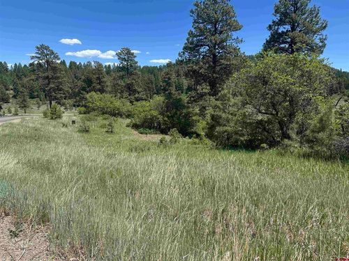 184 Clint Cir, Pagosa Springs, CO, 81147-8160 | Card Image