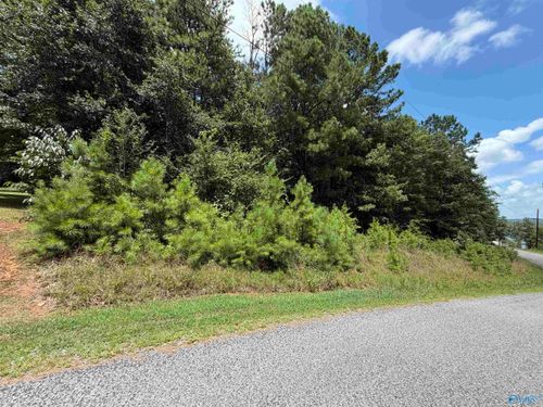 LOT 5 County Road 592, Leesburg, AL, 35983-4918 | Card Image