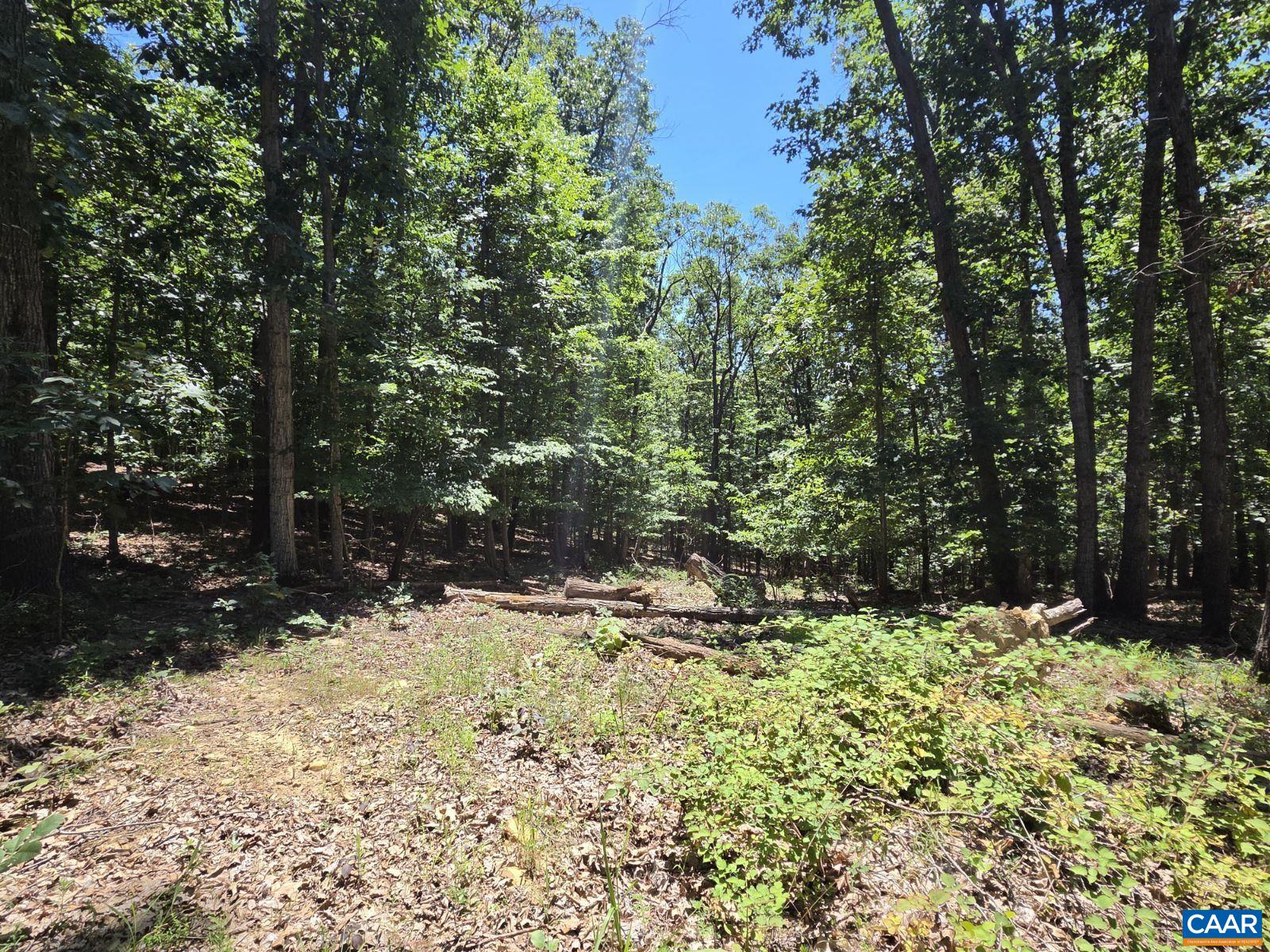 Land in Shenandoah 3