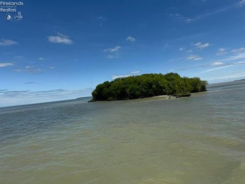 0 Mouse Island, Port Clinton, OH, 43452 | Card Image