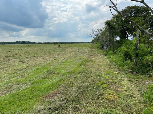 00 Apache Trl, Home with 0 bedrooms, 0 bathrooms and null parking in Angleton TX | Image 15