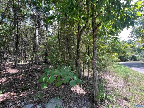 1.9 acres Korgan Avenue E, Laceys Spring, AL, 35754 | Card Image