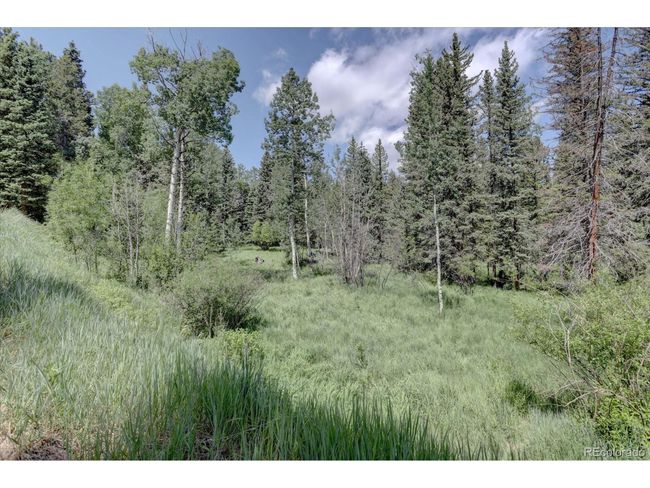 10438 Sunlight Ln, House other with 4 bedrooms, 3 bathrooms and null parking in Conifer CO | Image 38