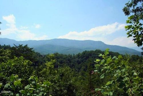 64 Vixen Run, Gatlinburg, TN, 37738 | Card Image