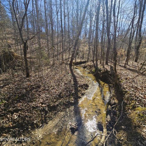0 Lick Creek Rd, Tellico Plains, TN, 37385 | Card Image