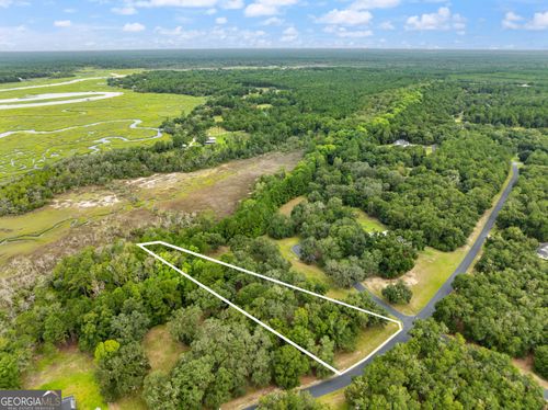 LOT 241 Coopers Landing Dr Ne, Townsend, GA, 31331 | Card Image