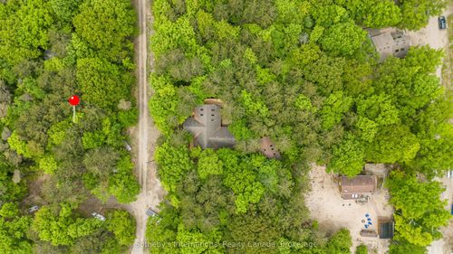 {{alt}} | Card Image