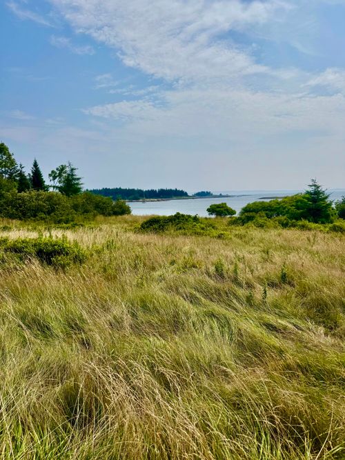 Lot #5 George Wright Rd, Vinalhaven, ME, 04863 | Card Image