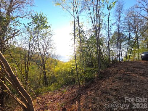 3-f-3355 Utah Mountain Rd, Waynesville, NC, 28785-8807 | Card Image