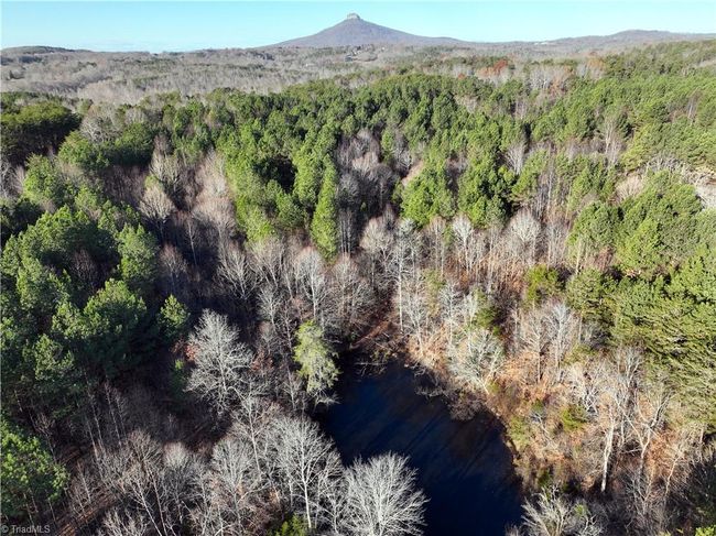 Lot 2- 0 Bowen Rd, Home with 0 bedrooms, 0 bathrooms and null parking in Pinnacle NC | Image 12