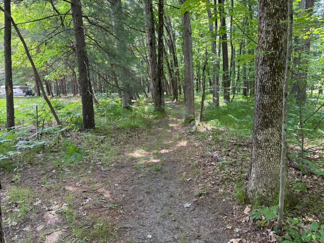 Trail down to the lake | Image 25