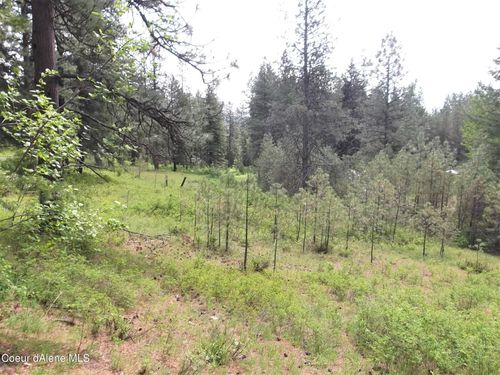 NNA W Dazyduck Ct, Rathdrum, ID, 83858 | Card Image
