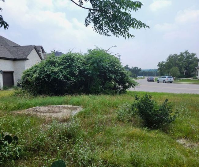 View of undeveloped land | Image 12