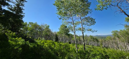 c43-17603 S Beaver Mountain Cir S, Spanish Fork, UT, 84660 | Card Image