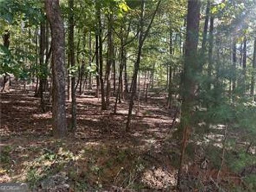 1351-LT1351 Willow Ter, Jasper, GA, 30143 | Card Image