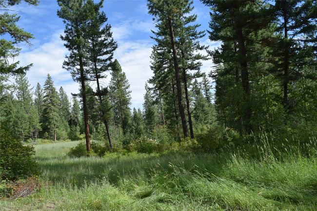73487 Arlee Pines Dr, Home with 0 bedrooms, 0 bathrooms and null parking in Arlee MT | Image 11
