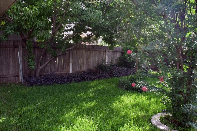 View of yard | Image 37