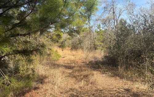 TBD Se Shaw Rd, Mayo, FL, 32066 | Card Image