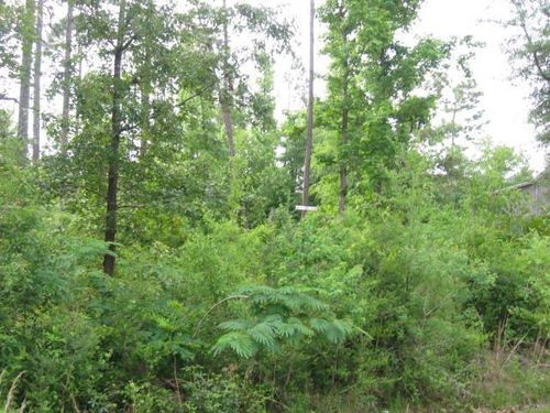 0 Hide A Way Ln, Carriere, MS, 39426 | Card Image