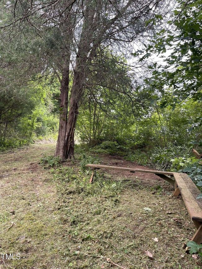 Path | Image 9