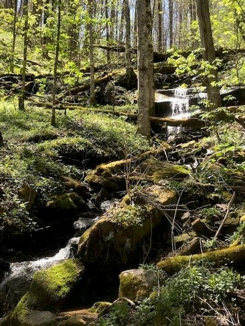 976 Slippery Rock Rd, Waynesville, NC, 28785-0148 | Card Image