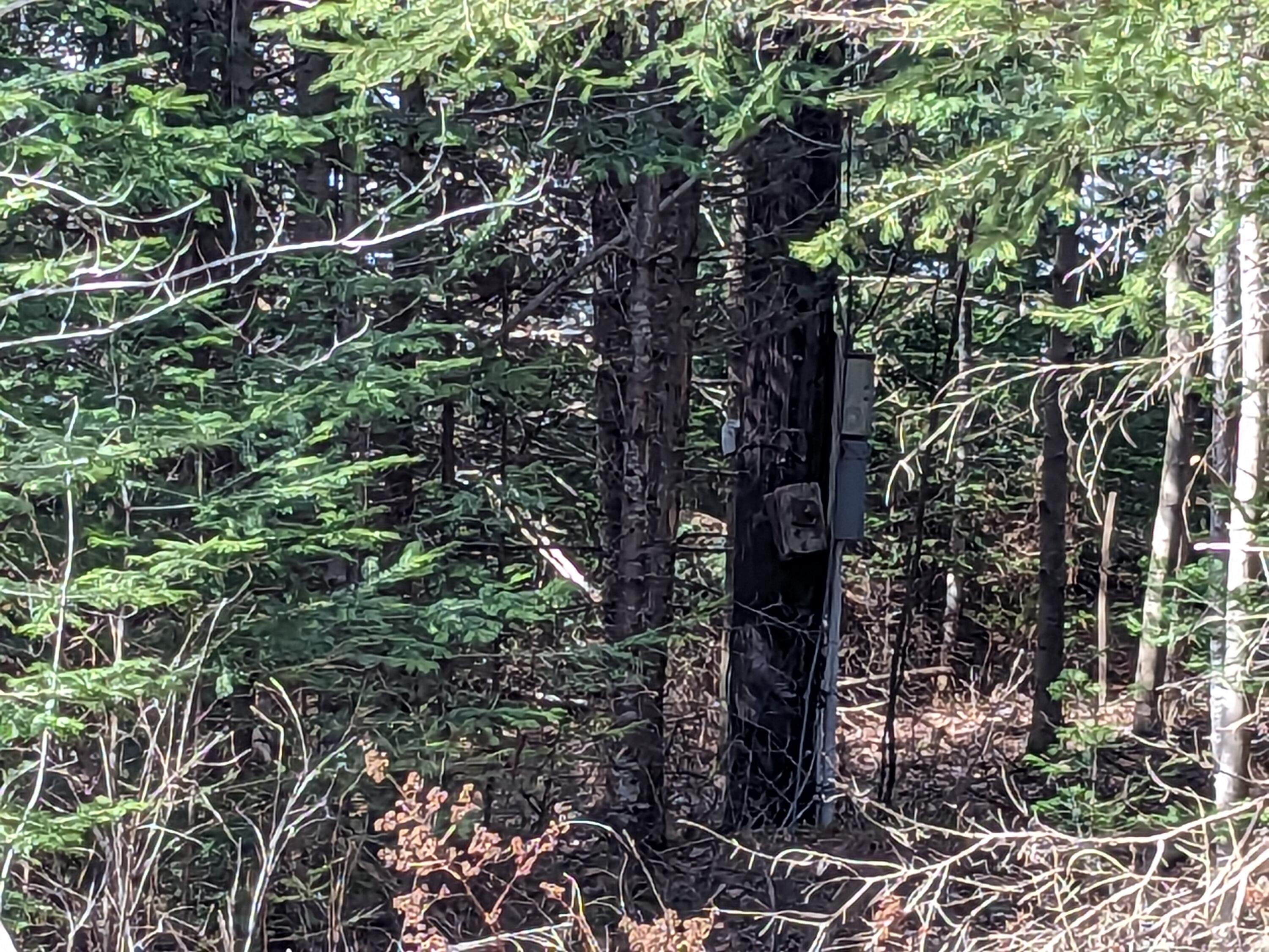Land in Machiasport 3