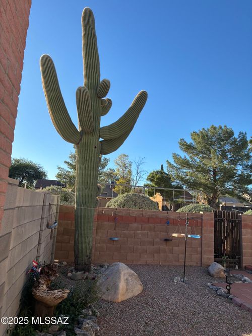 7256 S Camino Del Arco Iris, Tucson, AZ, 85746-8233 | Card Image