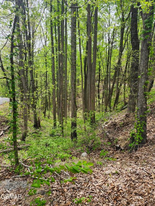 Lot 1 Hatcher Mtn Road, Sevierville, TN, 37862 | Card Image