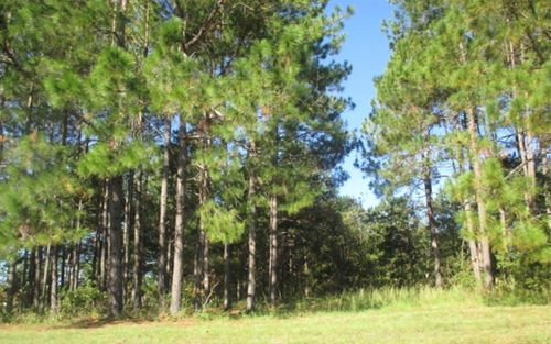 0 N Highland Rd, Quitman, GA, 31643 | Card Image