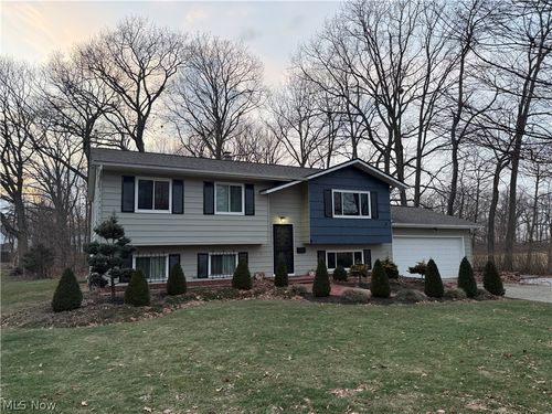 55 Grove Ave, Painesville, OH, 44077-5241 | Card Image