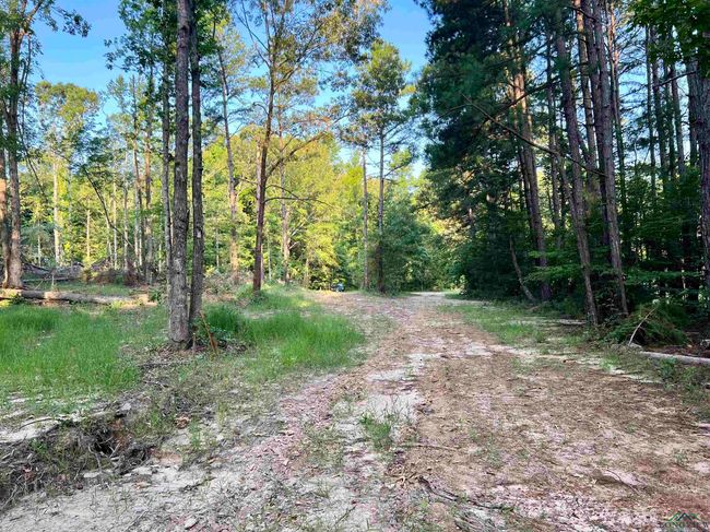 2735 Brandy Rd, Home with 0 bedrooms, 0 bathrooms and null parking in New Diana TX | Image 6