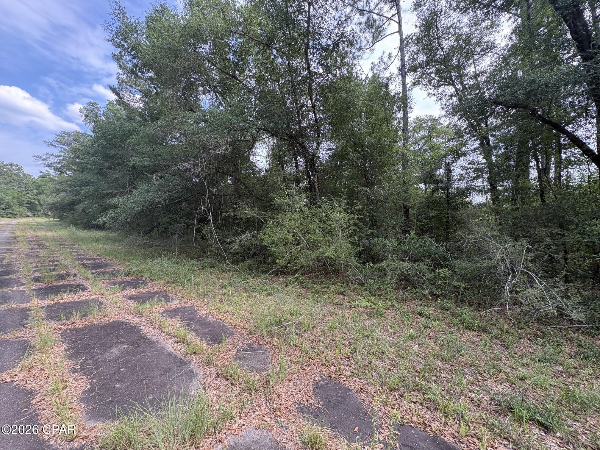Land in Chipley 2