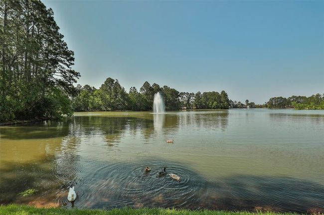 The central fountain and surrounding trees makes this perfect for relaxing walks, duck watching, or simply enjoying nature. | Image 45