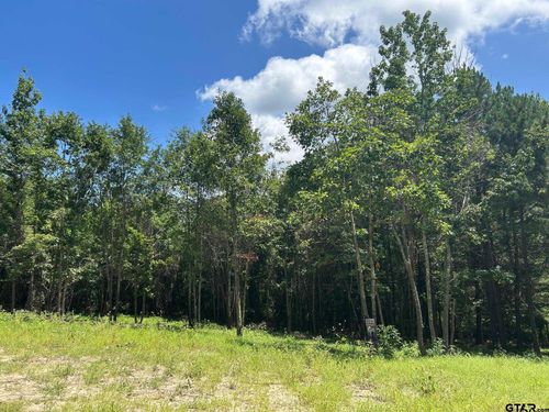 7475 County Road 378 S, Laneville, TX, 75667-5700 | Card Image