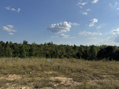 169 Twin Pines Rd, Lobelville, TN, 37097 | Card Image