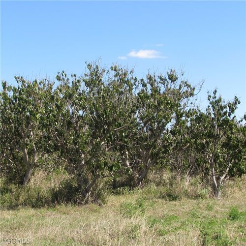 13171 Samadani Ln, BOKEELIA, FL, 33922 | Card Image