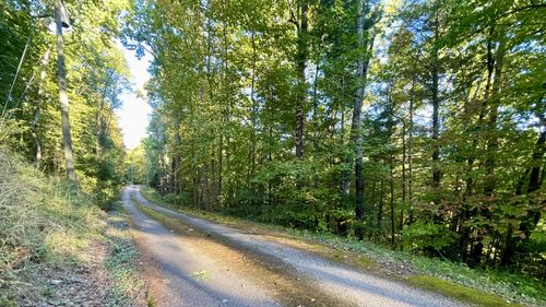 8 Berry Clark Dr, Gatlinburg, TN, 37738 | Card Image