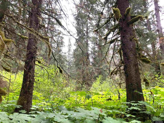 LOT17-BLK-B-EXCURSION-I - 17 Excursion Inlet, Home with 0 bedrooms, 0 bathrooms and null parking in Excursion Inlet AK | Image 14