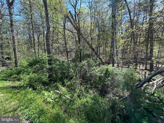 0 New Bloomfield Rd, Home with 0 bedrooms, 0 bathrooms and null parking in NEW BLOOMFIELD PA | Image 38