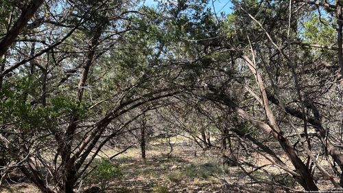 121 Agarita Dr, Spring Branch, TX, 78070-4881 | Card Image