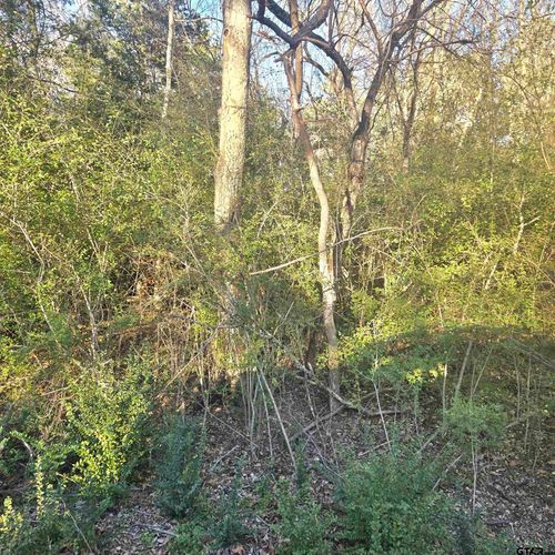 TBP Rollingwood Hills Dr, Bullard, TX, 75757 | Card Image