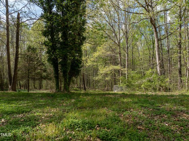 WATKINS RD-53 | Image 13