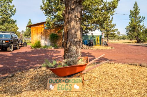 6356 Sw Ferrret Road, Terrebonne, OR, 97760 | Card Image