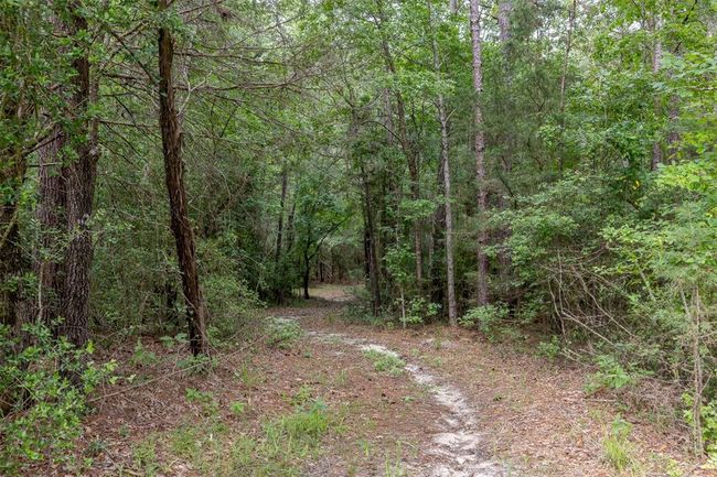 17042 State Highway 21 E, Home with 7 bedrooms, 9 bathrooms and 3 parking in Grapeland TX | Image 44