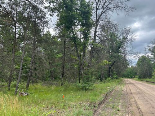V/L S Dillard Street, Baldwin, MI, 49304 | Card Image