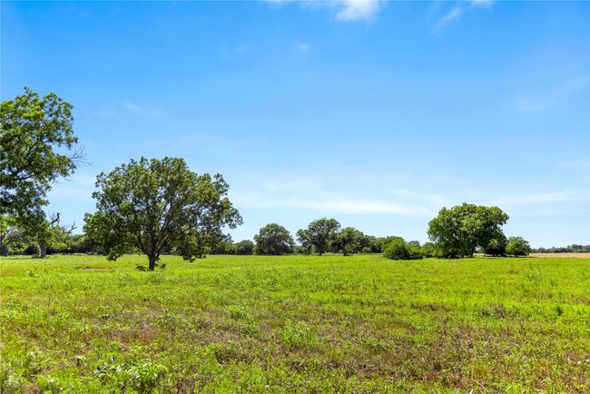 View of nature featuring rural landscape | Image 32