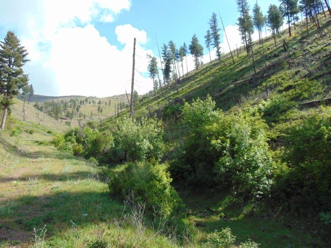 27235 Lazy Springs Rd, Home with 0 bedrooms, 0 bathrooms and null parking in Clinton MT | Image 61