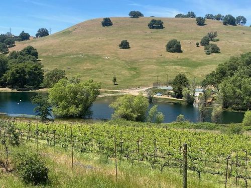 10456 Sw Sport Hill Rd, Mokelumne Hill, CA, 95245 | Card Image